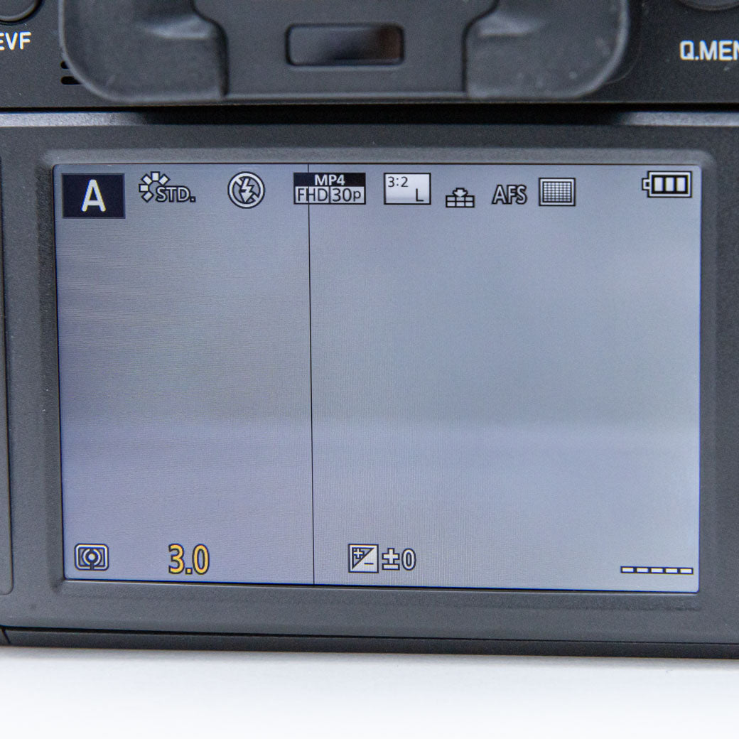 Leica V-LUX (Typ 114)