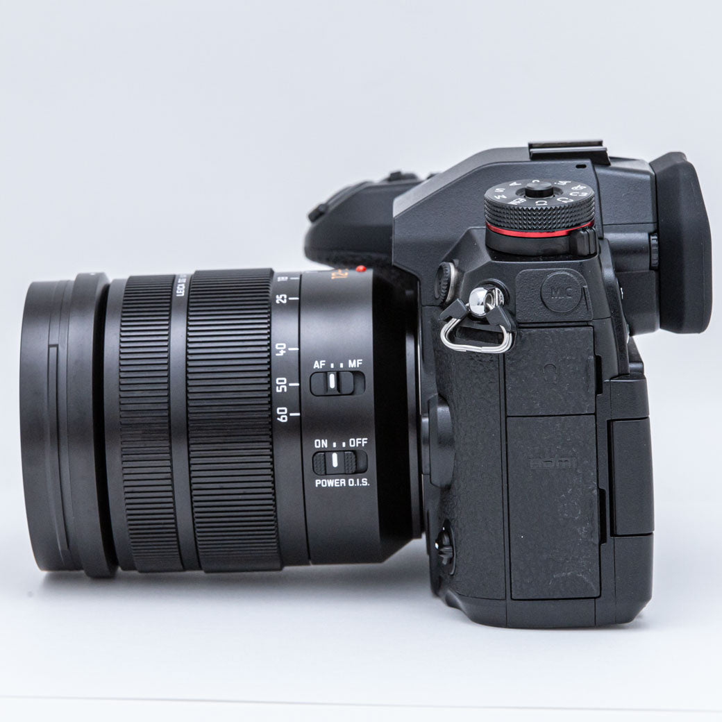 Panasonic LUMIX G9 PRO, LEICA DG VARIO-ELMARIT 12-60mm F2.8-4 ASPH. (DC-G9L)
