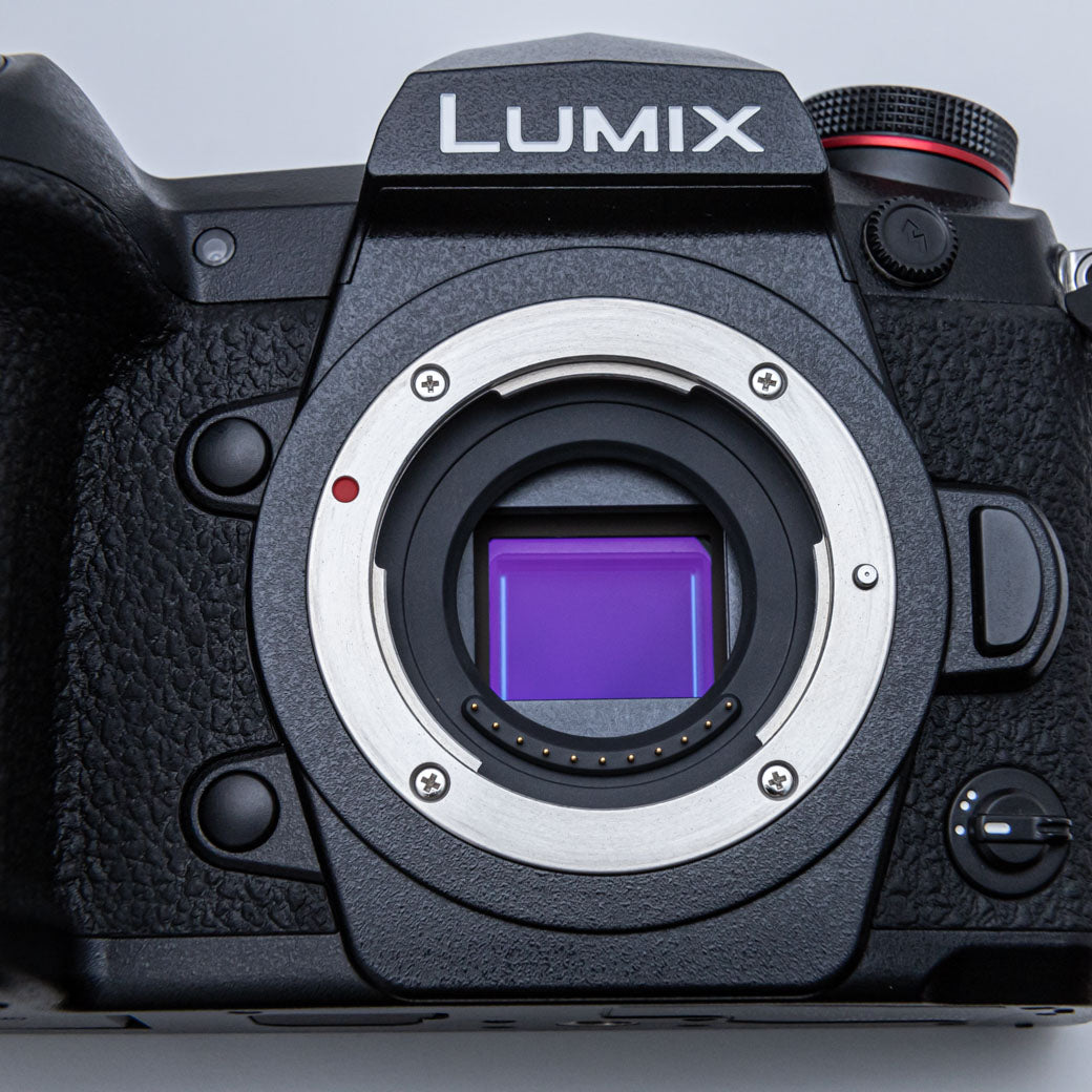 Panasonic LUMIX G9 PRO, LEICA DG VARIO-ELMARIT 12-60mm F2.8-4 ASPH. (DC-G9L)