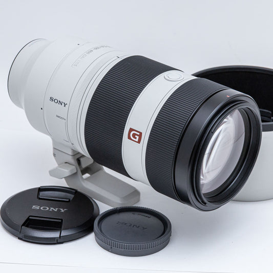 SONY FE 100-400mm F4.5-5.6 GM OSS