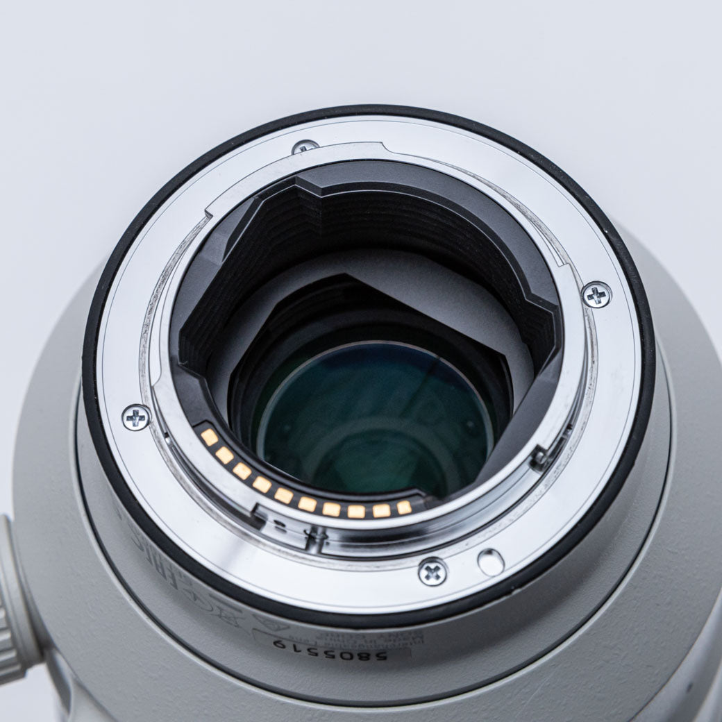 SONY FE 100-400mm F4.5-5.6 GM OSS