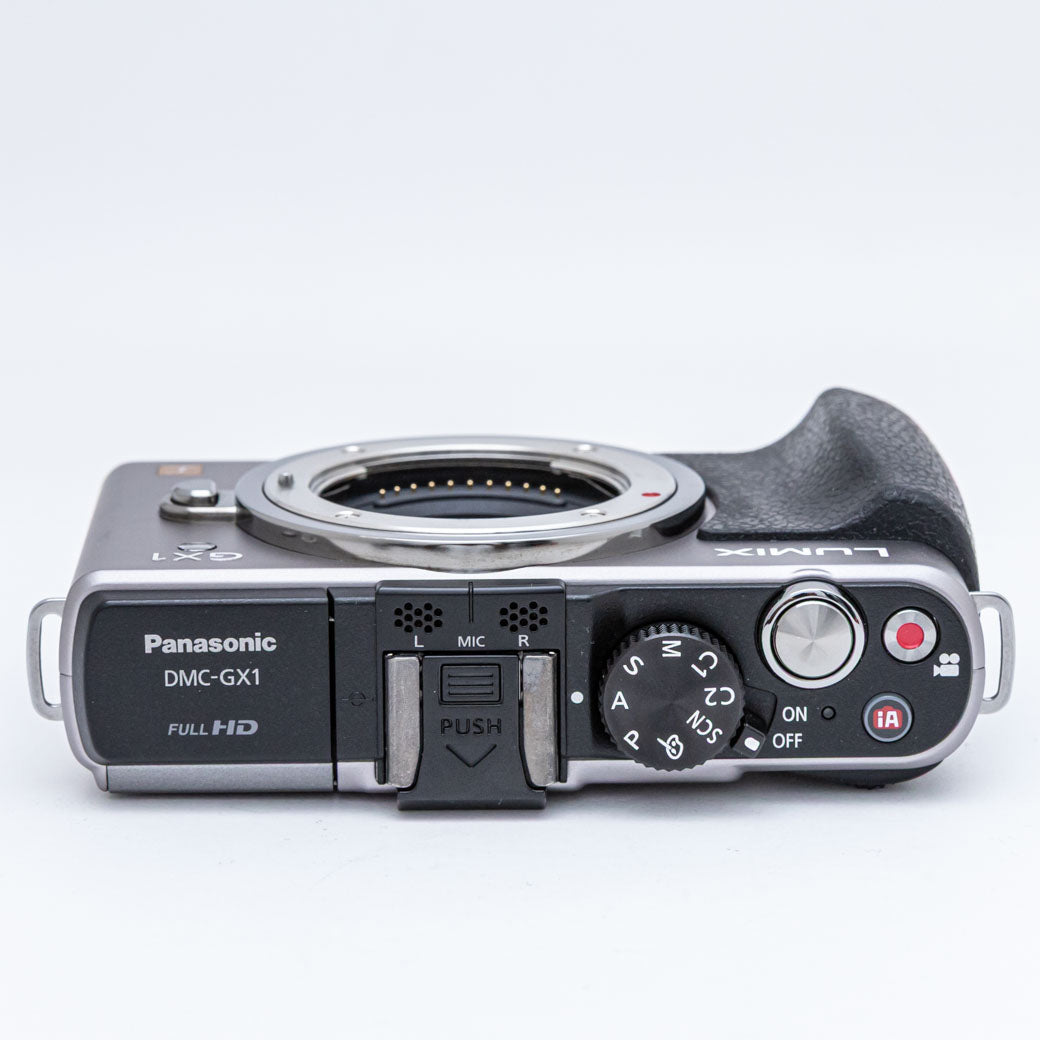 Panasonic DMC-GX1 シルバー