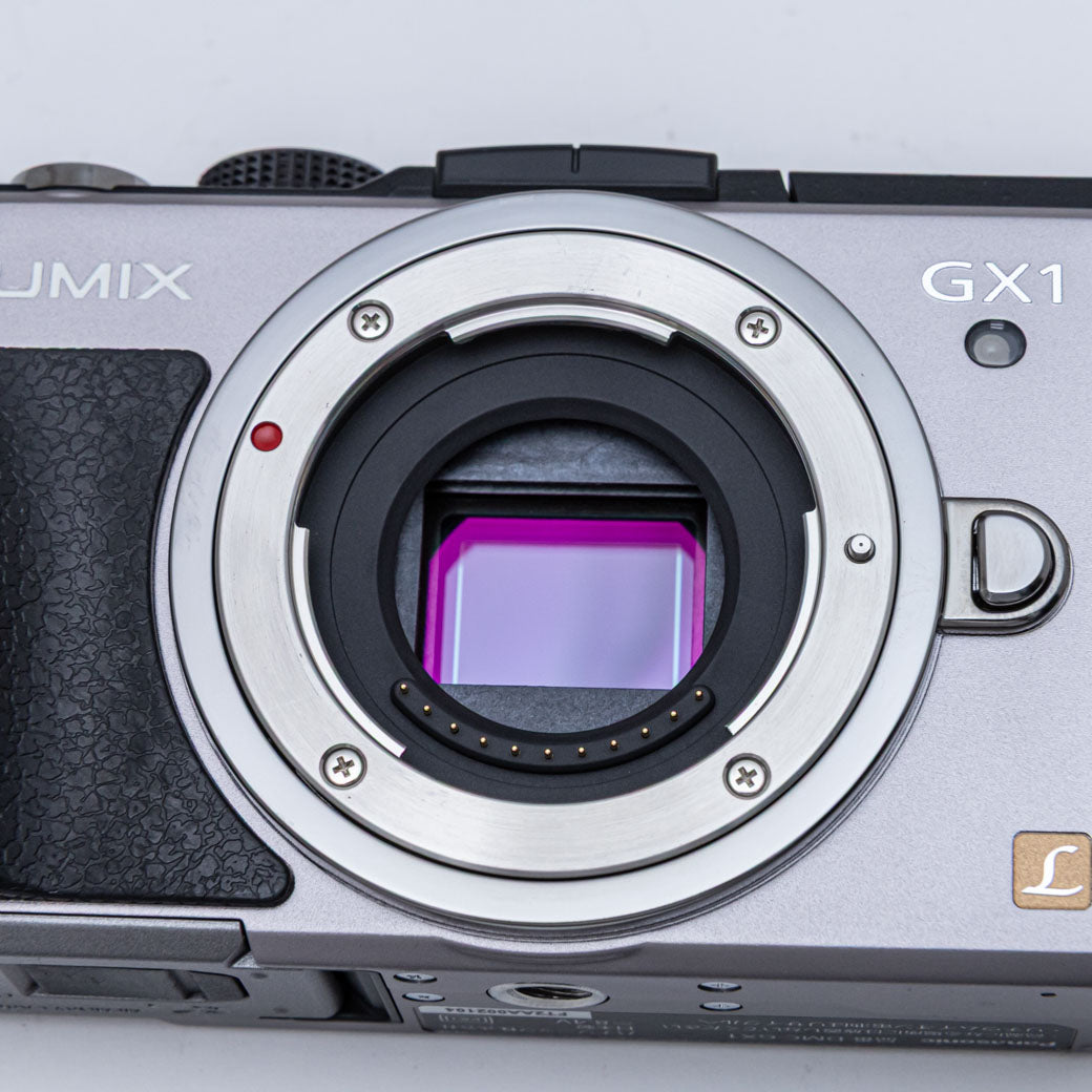 Panasonic DMC-GX1 シルバー