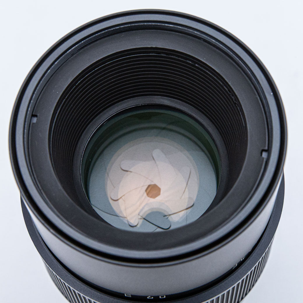 Leica APO-MACRO-ELMARIT-R 100mm F2.8 (3カム) + ELPRO
