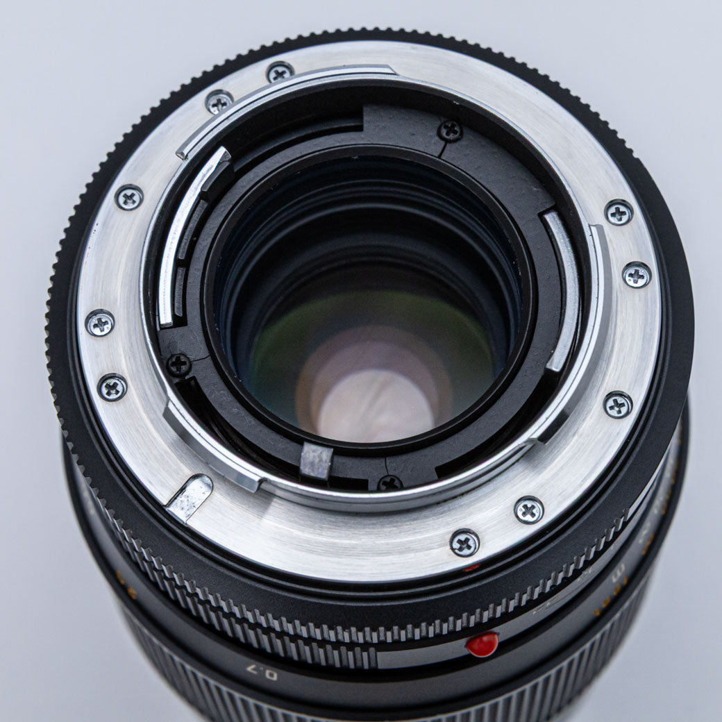 Leica APO-MACRO-ELMARIT-R 100mm F2.8 (3カム) + ELPRO