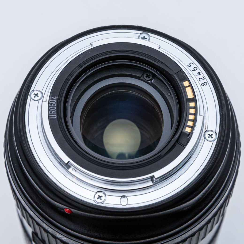 Canon EF 24-70mm F2.8 L USM