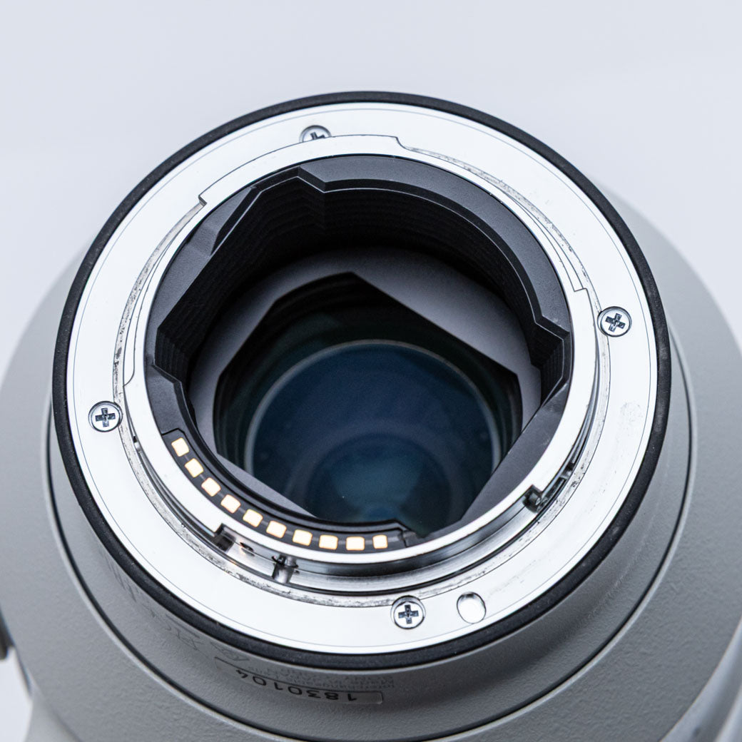 SONY FE 100-400mm F4.5-5.6 GM OSS