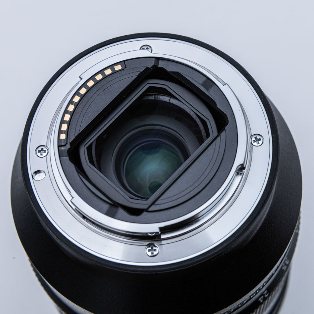 SONY FE 24-105mm F4 G OSS (SEL24105G)