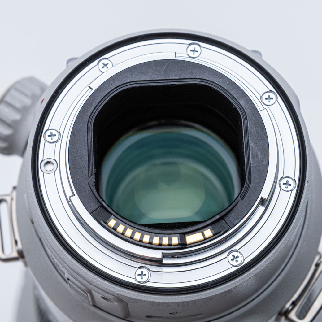 Canon EF 400mm F4 DO IS II USM