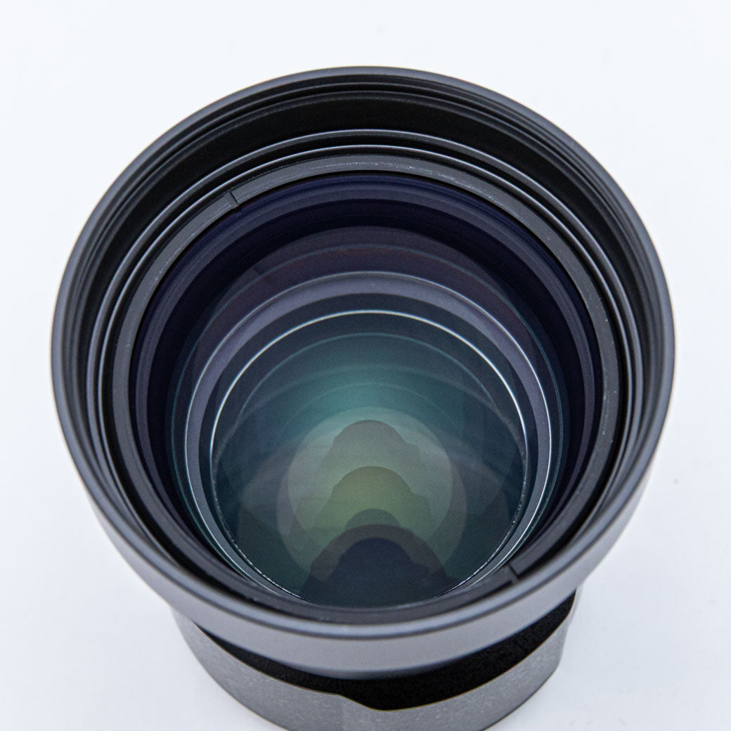 RICOH GT-2 テレコンバージョンレンズ, GA-2 レンズアダプター付き