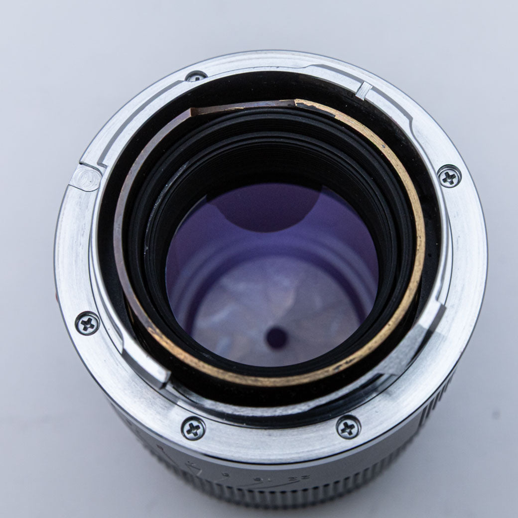 RY WONK MELRAW 国内プロモ 非売品 RY様 専用 WONK MELRAW 国内プロモ 非売品