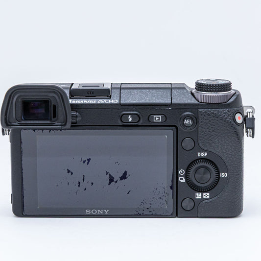 SONY NEX-6