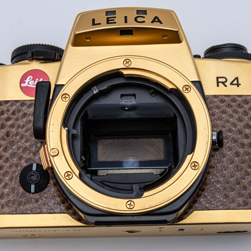Leica R4 GOLD, SUMMILUX-R 50mm F1.4 – ねりま中古カメラきつね堂