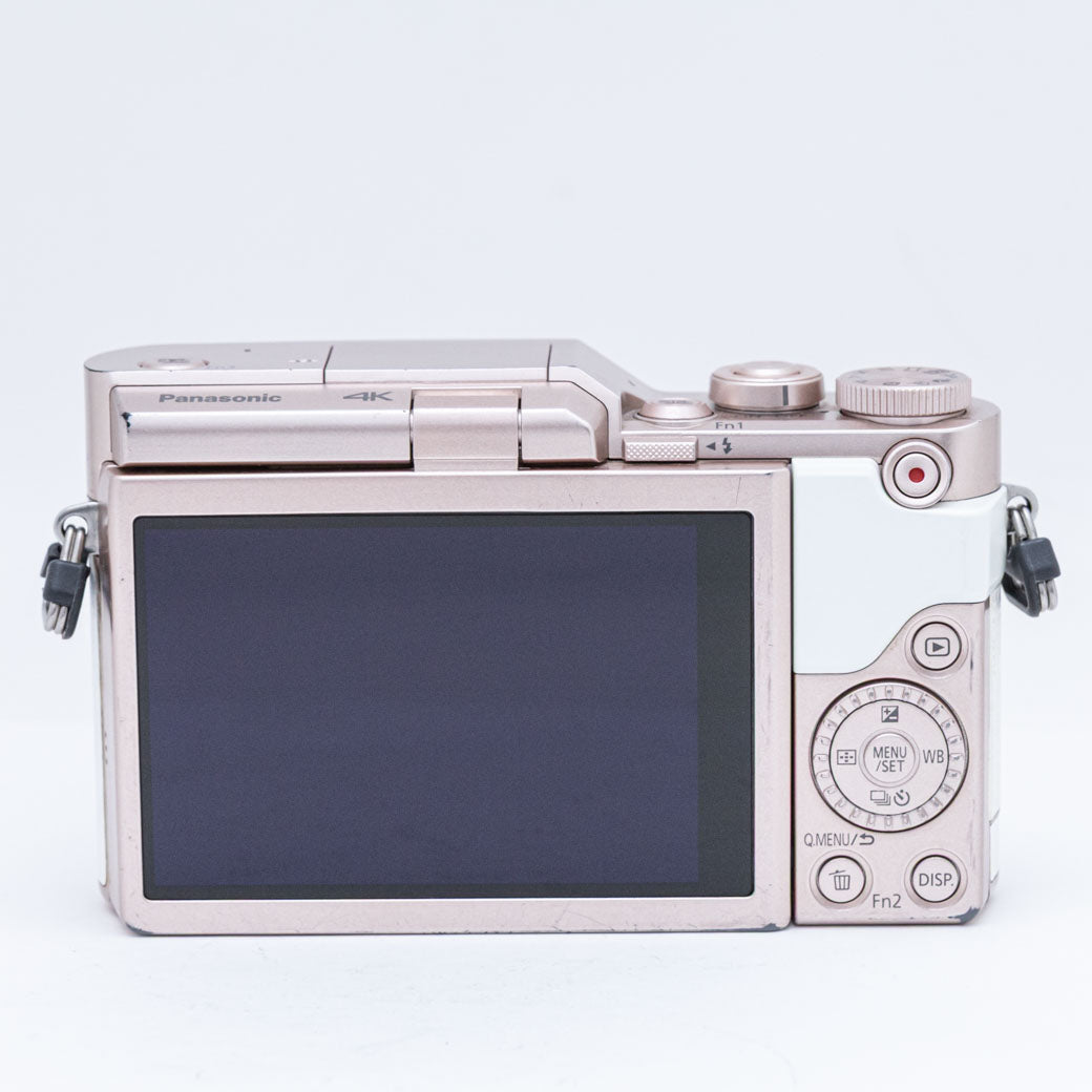 Panasonic DC-GF10, LUMIX G 12-32mm – ねりま中古カメラきつね堂