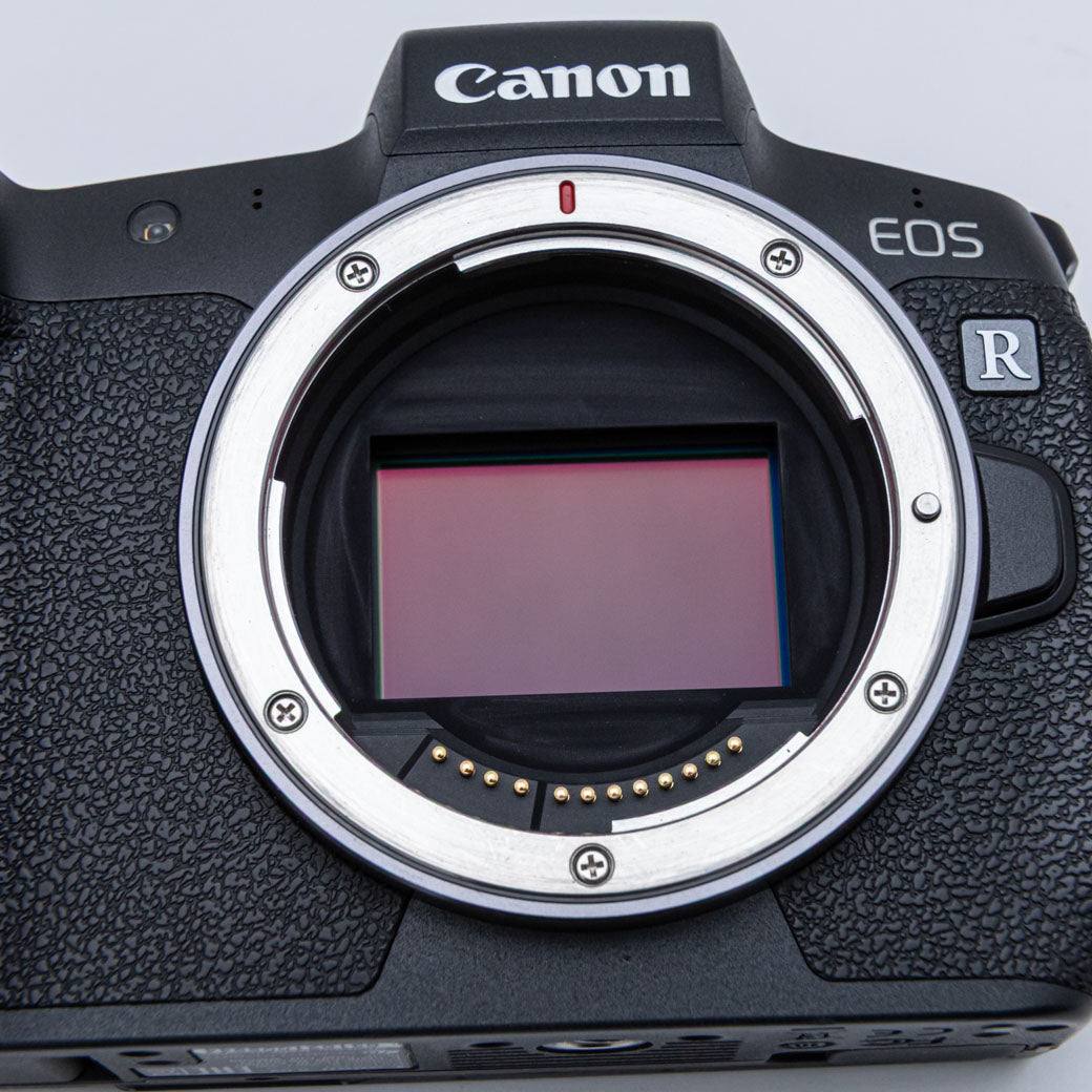 Canon EOS R + BG-E22