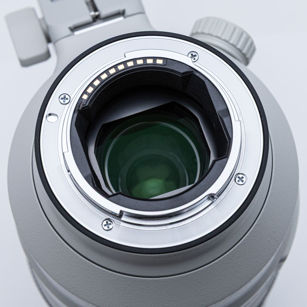 SONY FE 100-400mm F4.5-5.6 GM OSS (SEL100400GM)