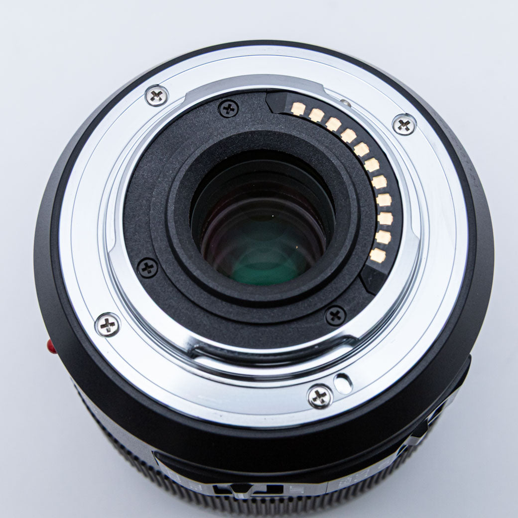 Panasonic LEICA DG MACRO-ELMARIT 45mm F2.8 ASPH. MEGA O.I.S. (H