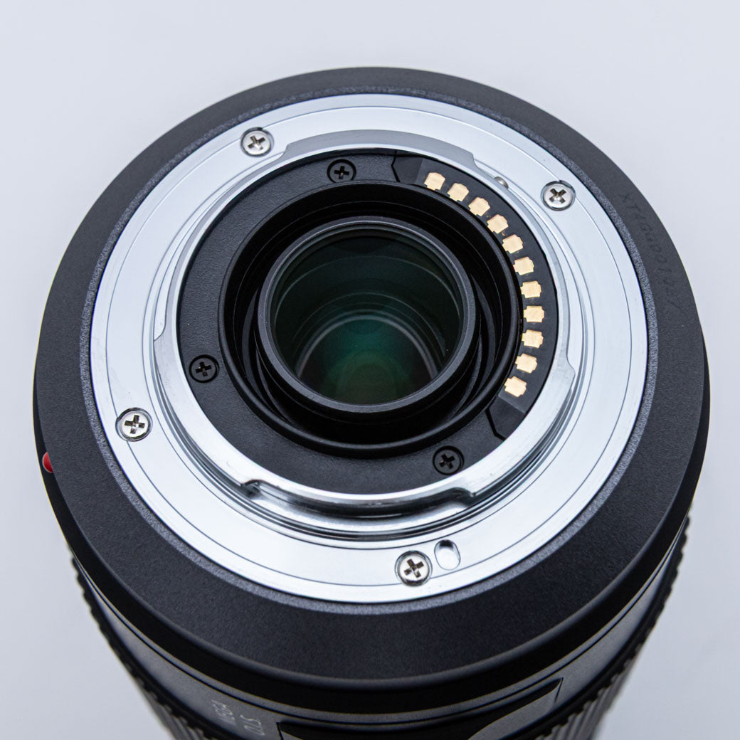 Panasonic LUMIX G VARIO 100-300mm F4.0-5.6 MEGA O.I.S. (H-FS100300