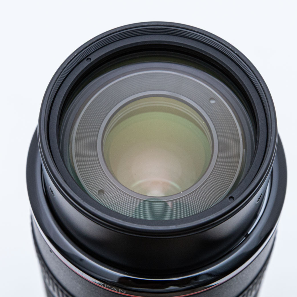 Canon EF 100-300mm F5.6L